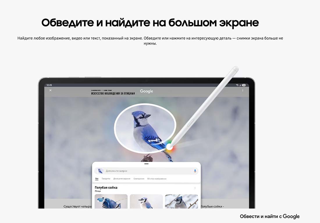 galaxy-tab-s10-fe в Владимире galaxy-tab-s10-fe