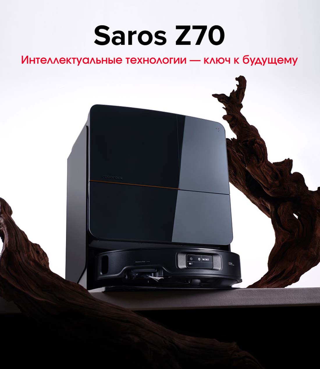 roborock-z70 в Владимире roborock-z70