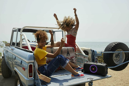 Портативная колонка JBL PartyBox On The Go Black, черный