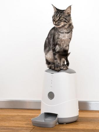 Умная автоматическая кормушка с Wi-Fi для кошек и собак Petoneer Nutri Feeder (FDW010) Белый